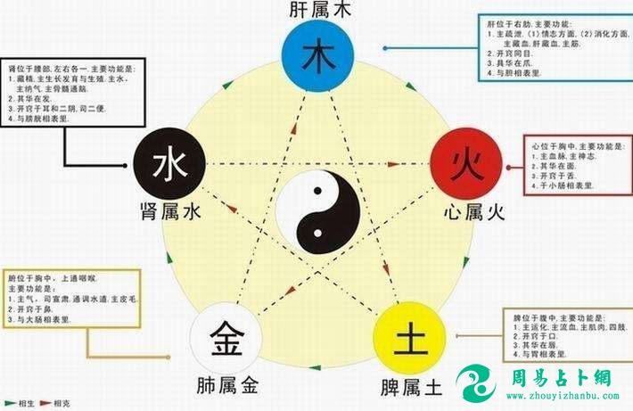 怎样看生辰八字中的五行生克关系?