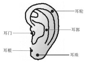 耳朵有痣代表什么意思人耳朵上有痣代表什么