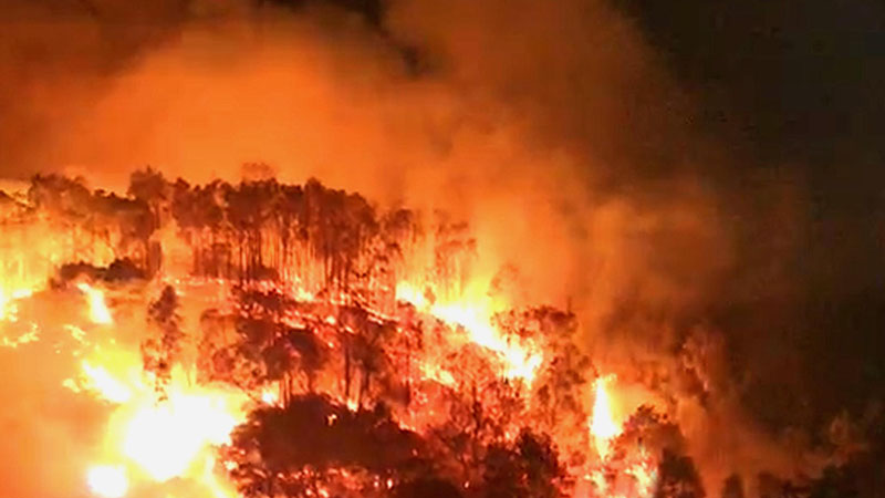 梦见山上着火了是什么意思