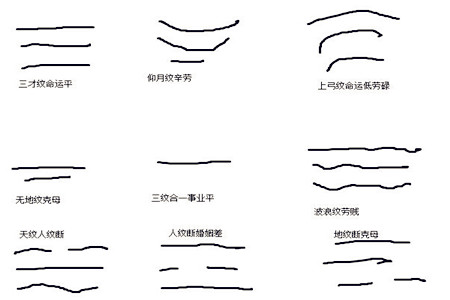 看抬头纹知运势